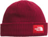 Couleur: Beetroot - Tnf Red