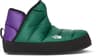 Colour: Evergreen - Peak Purple