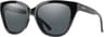 Couleur: Black - Polarized Gray