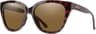 Couleur: Tortoise - Chromapop Polarized Brown