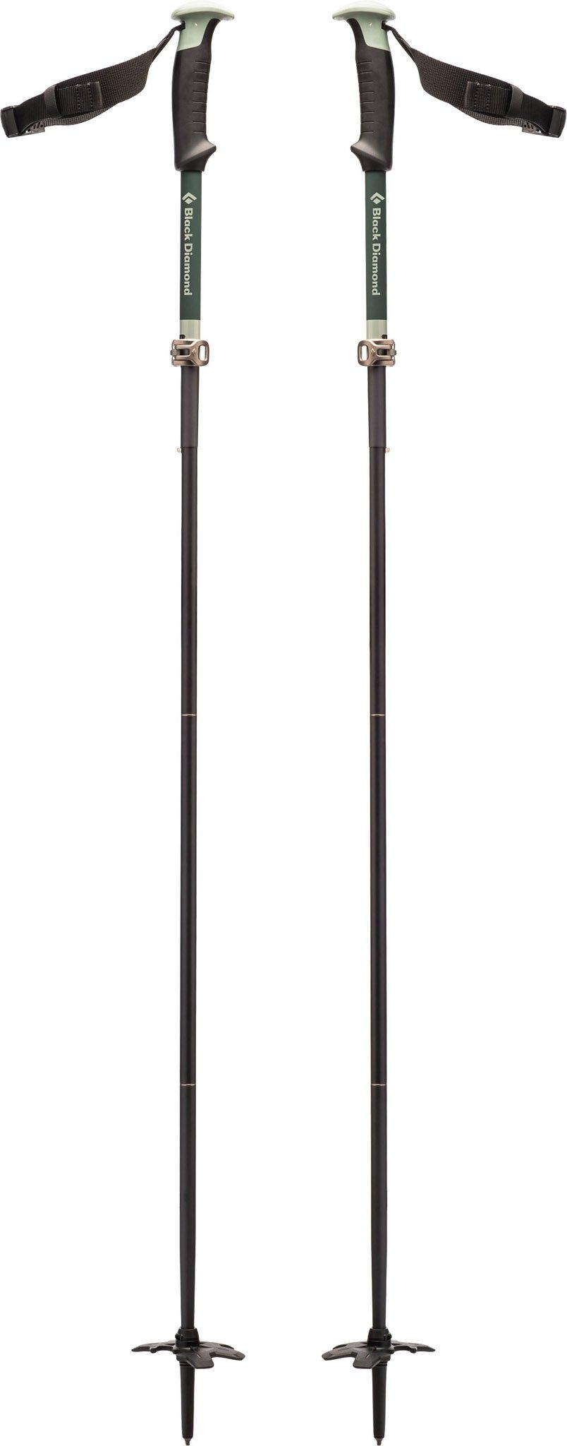 Product gallery image number 1 for product Compactor Ski Poles