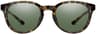 Couleur: Vintage Tortoise - Chromapop Polarized Gray Green