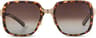 Couleur: Tortoise - Polarized Brown Gradient