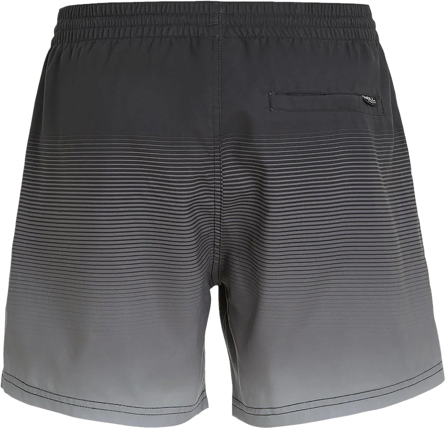 Product gallery image number 4 for product Cali Gradient Volley Swim Shorts 15'' - Men's