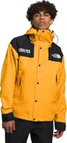 Couleur: Summit Gold - TNF Black