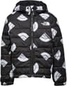 Colour: TNF Black Next Gen Logo Print