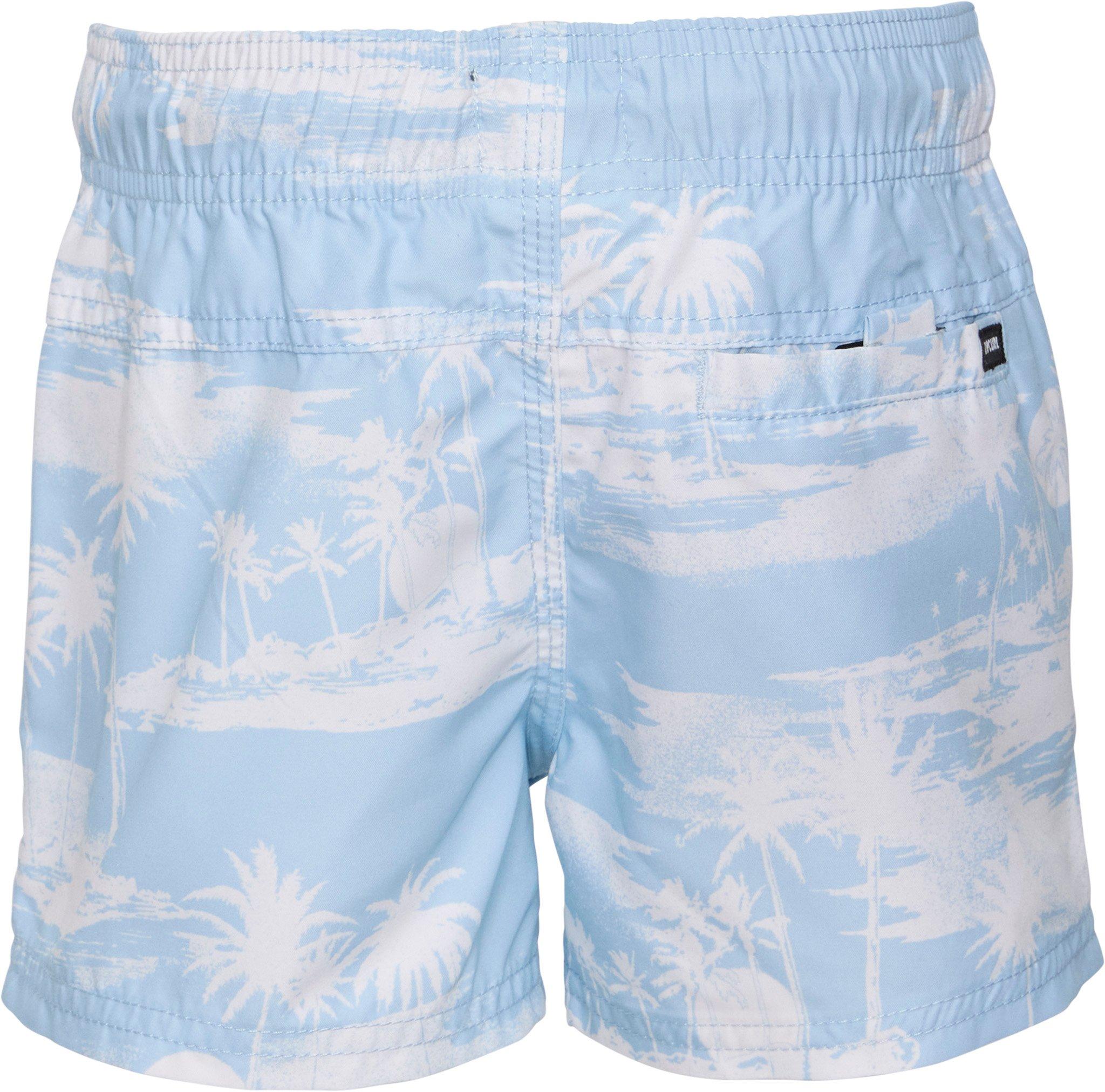 Product gallery image number 2 for product Dreamers Volley Boardshorts - Boys