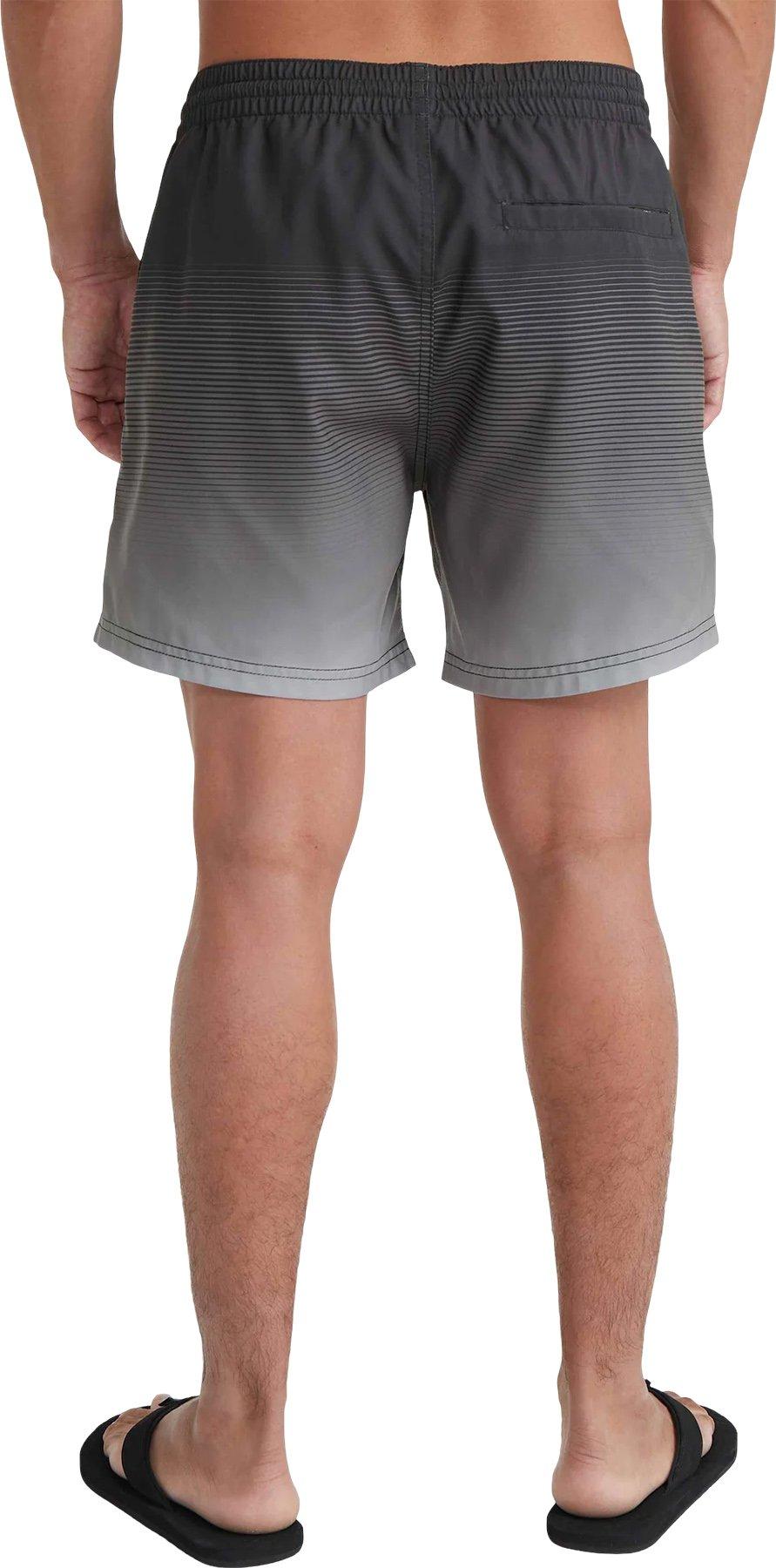 Product gallery image number 2 for product Cali Gradient Volley Swim Shorts 15'' - Men's