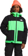 Couleur: Chlorophyll Green - TNF Black