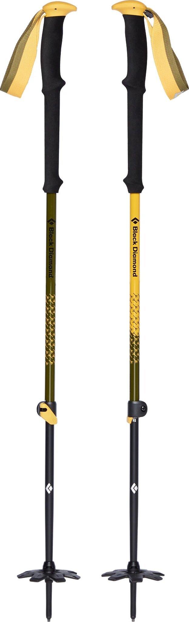 Product gallery image number 1 for product Expedition Jc Ski Poles - Unisex