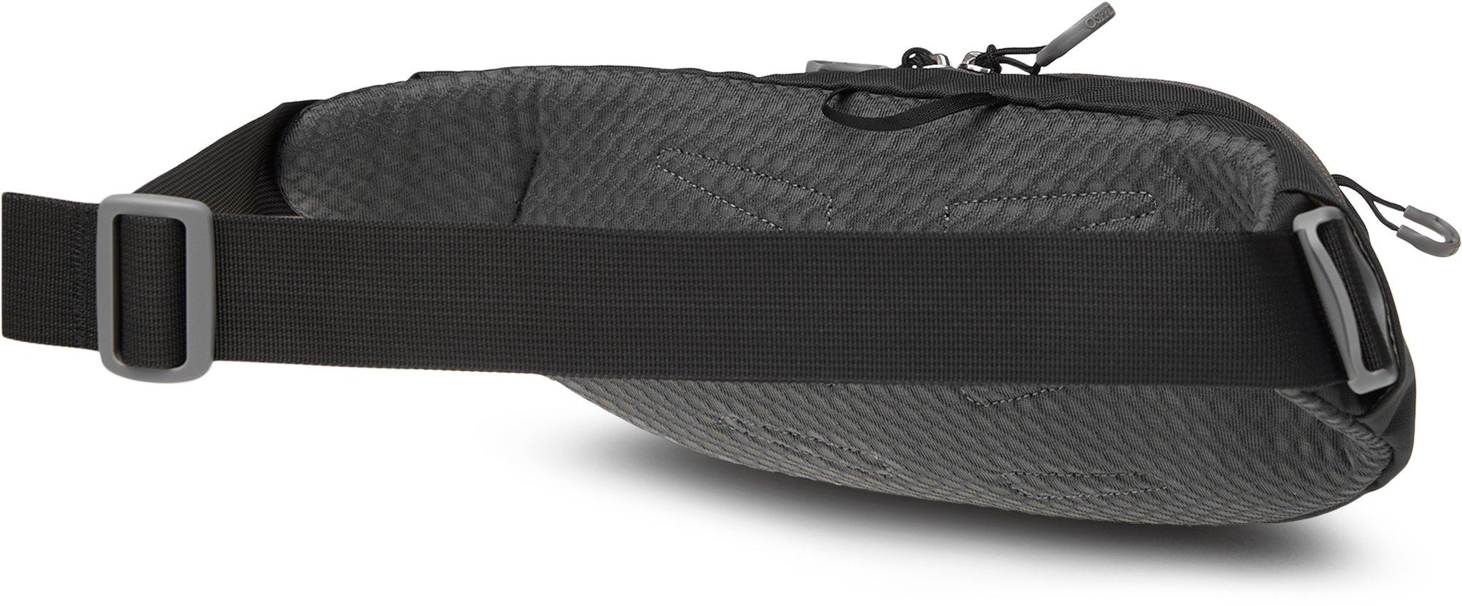 Product gallery image number 2 for product Daylite Waist Pack 2L