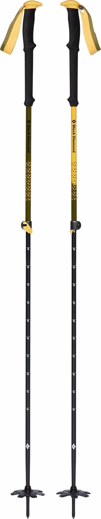 Product gallery image number 2 for product Expedition Jc Ski Poles - Unisex