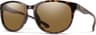 Couleur: Tortoise - Chromapop Polarized Brown