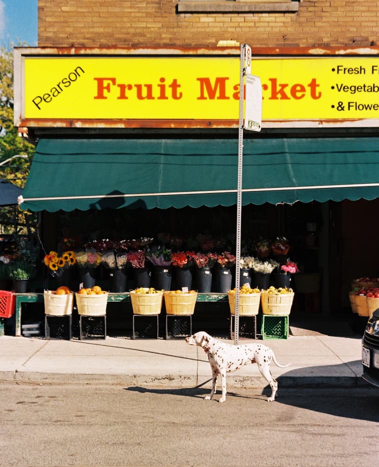 ALS_Journal_fragments-of-toronto_Image6