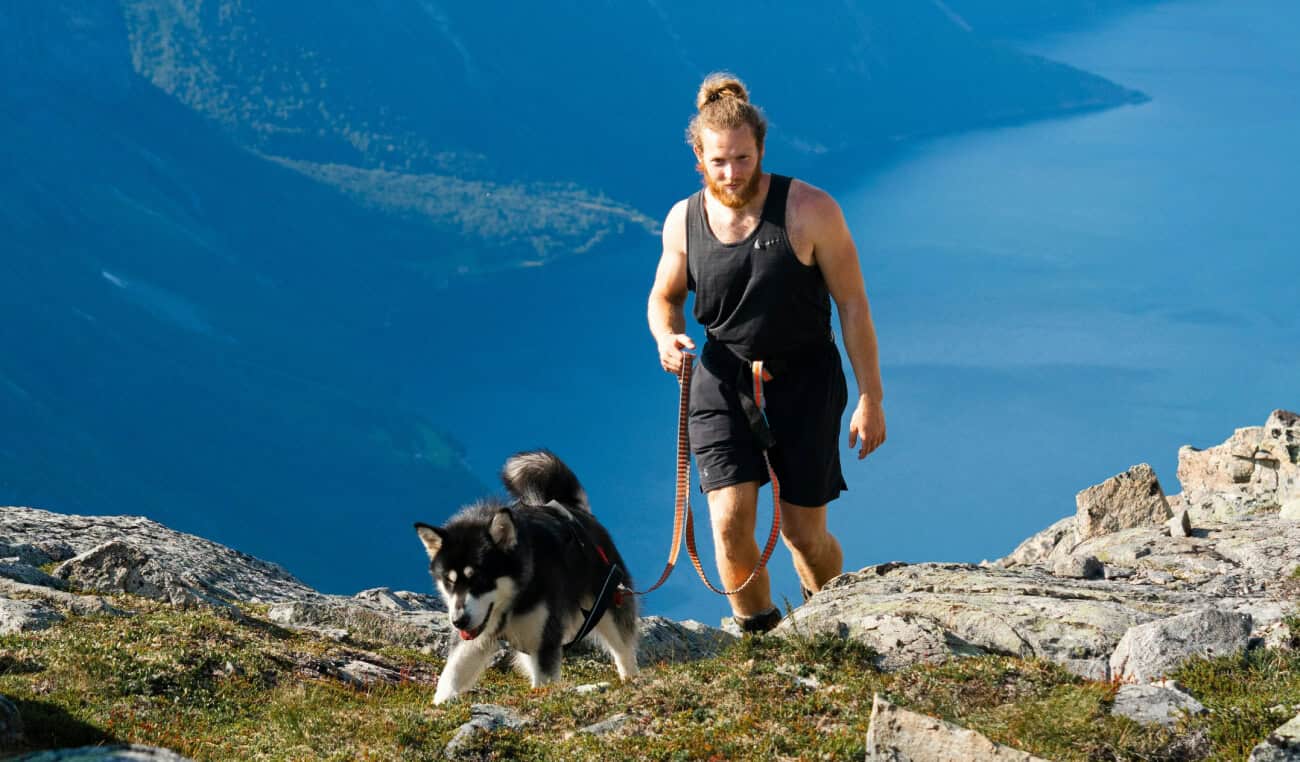 Essentials For Hiking With Your Dog