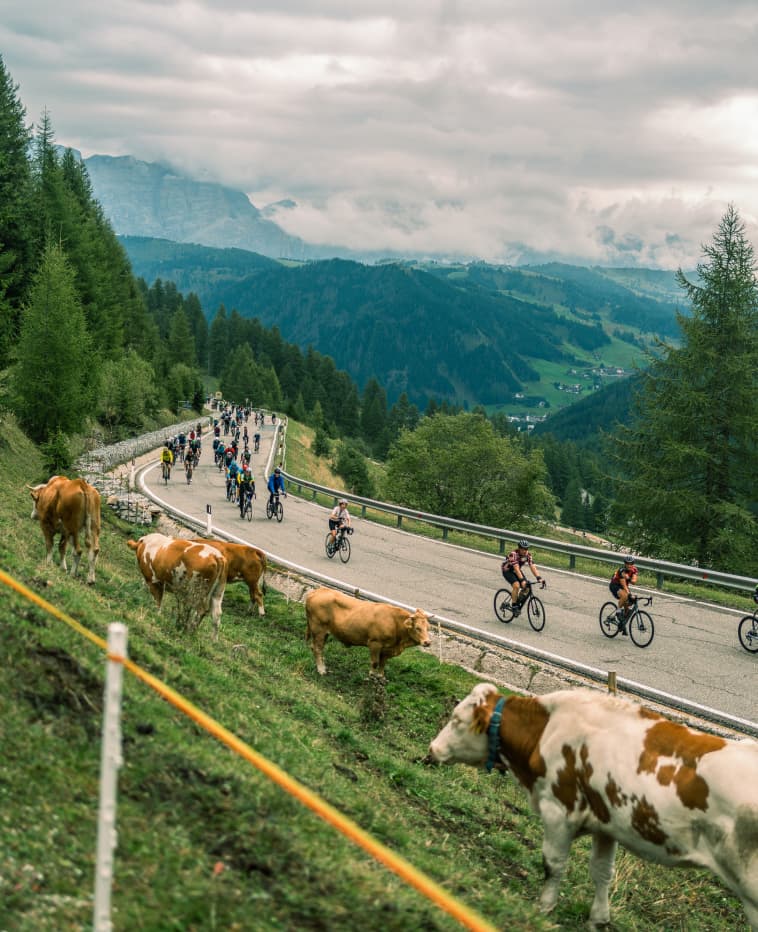 ALS_Journal_dolomites_Image