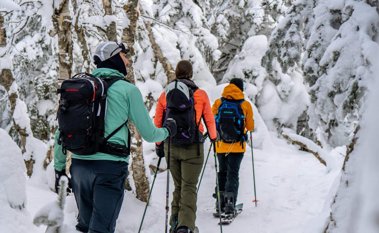 The Ultimate Guide to Ski Touring in Quebec