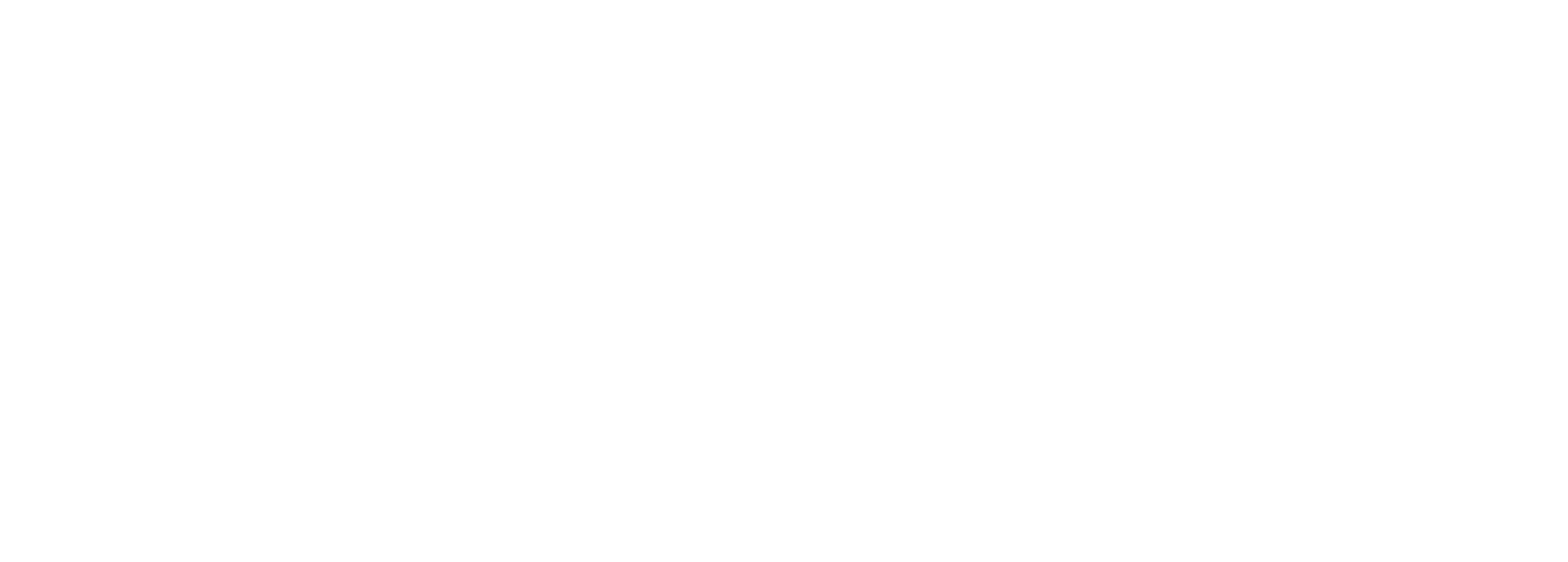 Logo_Brooks_White
