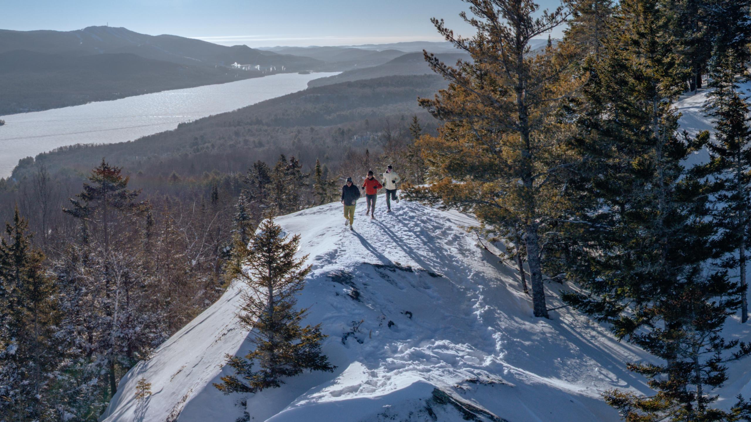 ALS_Image_BLP_HeroBanner_Ciele_Mobile