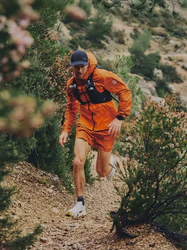 TLH_Image_MenuBanner_TNF