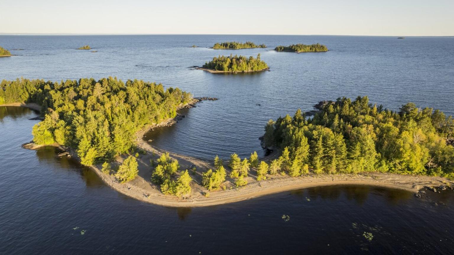 ALS_Journal_Sag-Lac_Image1