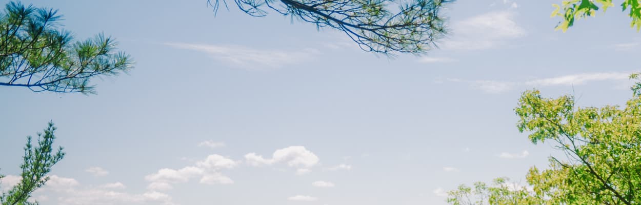 SS Banner TLH (1)