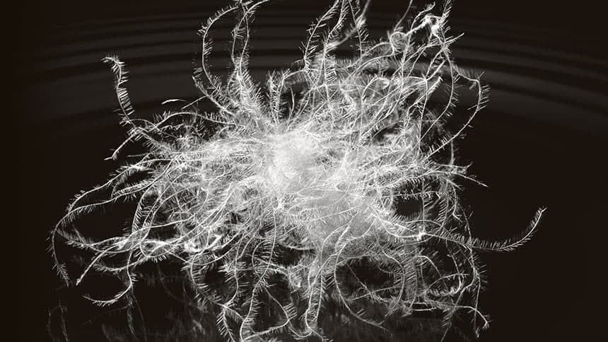 down-particle.jpg