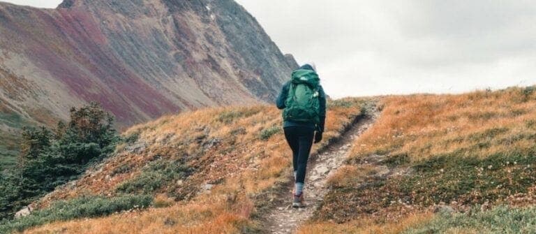 how-to-choose-hiking-shoes03-768x335_4.jpg