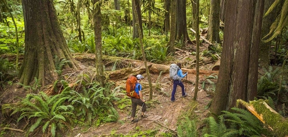 How to Choose the Right Travel Backpack