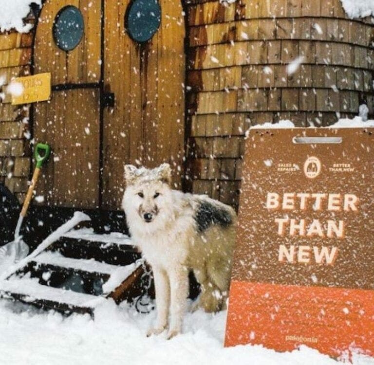 patagonia-buy-less04-1-768x750.jpg