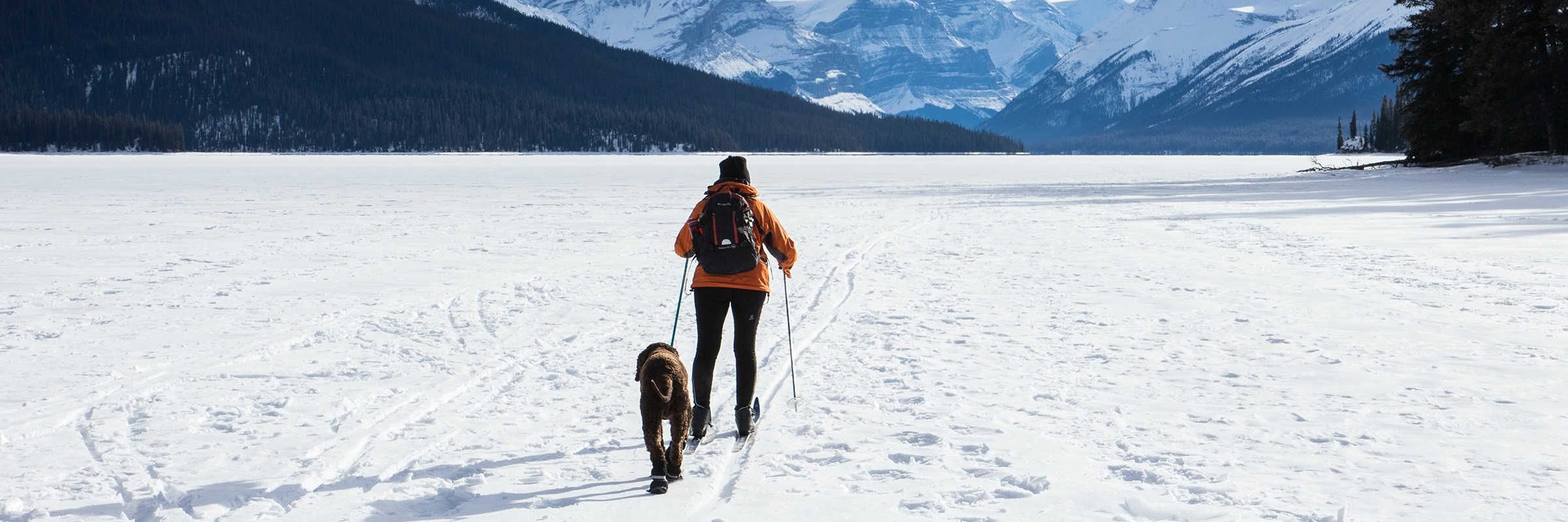 The Cross Country Skiing Beginner's Guide