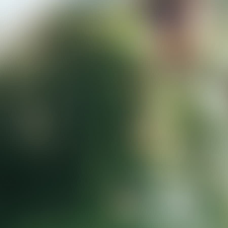 ALS_Image_Promo_MembershipOffer_Mobile