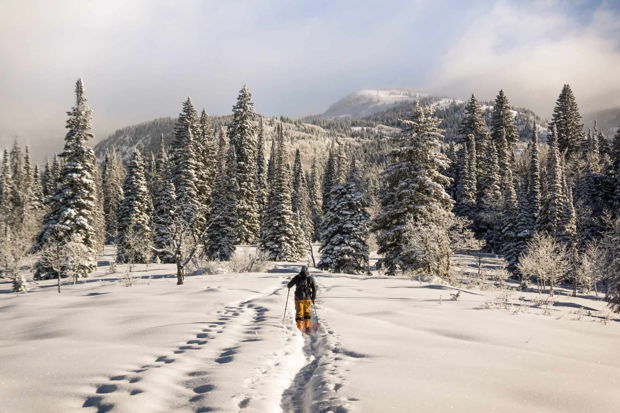 Best Backcountry and Touring Skis of 2025