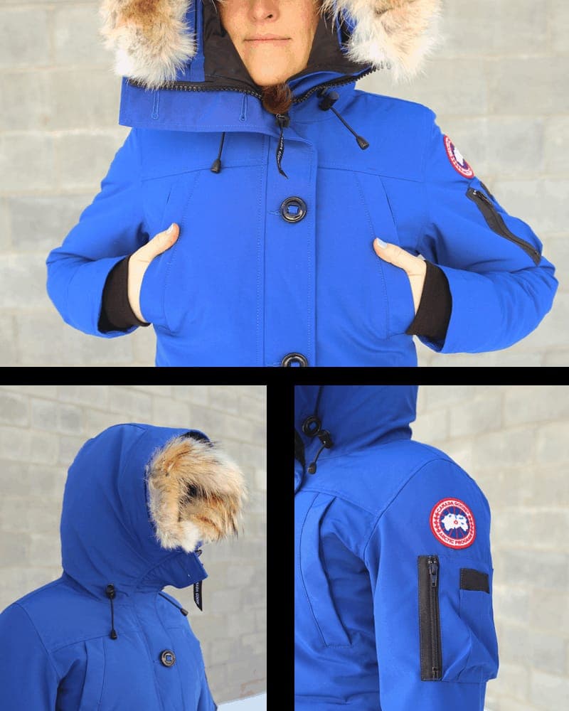 canadagoose1.png