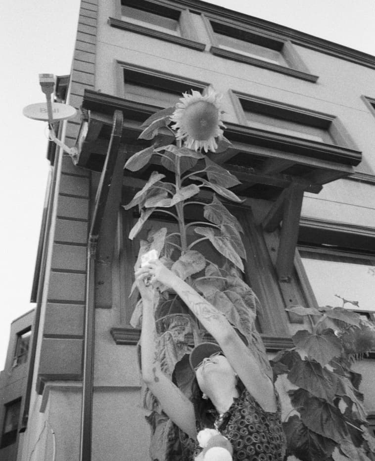 ALS_Journal_fragments-of-toronto_Image4
