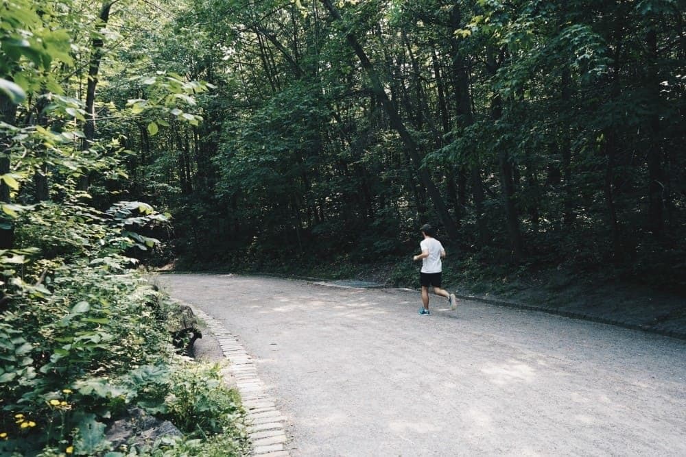 montroyal.jpg