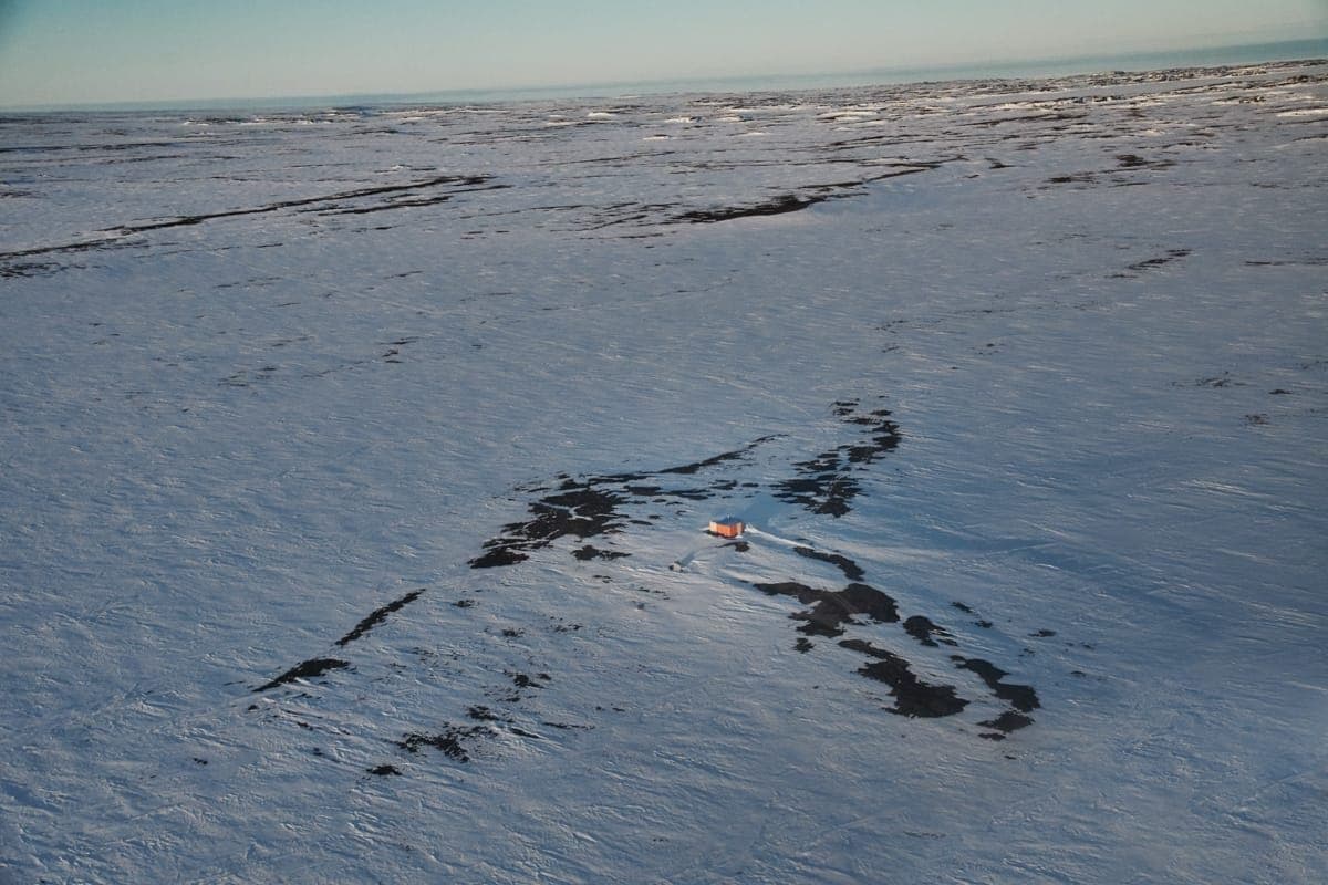 CG_FW19LITO_PARKAS_ENVIRONMENT_JORDIN_TOOTOO_RANKIN_5541_JPEG.jpg