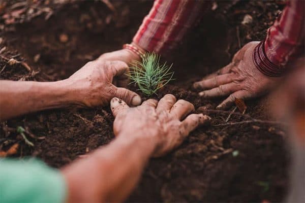 tentree-sustainability-david-luba02-pgw0nsobte1moik8jb97fkrv9g7rxbwrqmzcs5rqu8.jpg