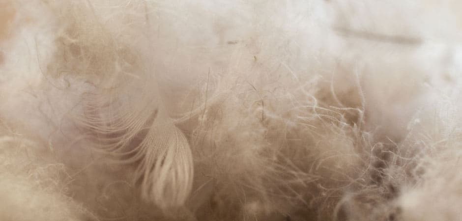 Manteau en duvet : quoi faire avec une doudoune qui perd ses plumes
