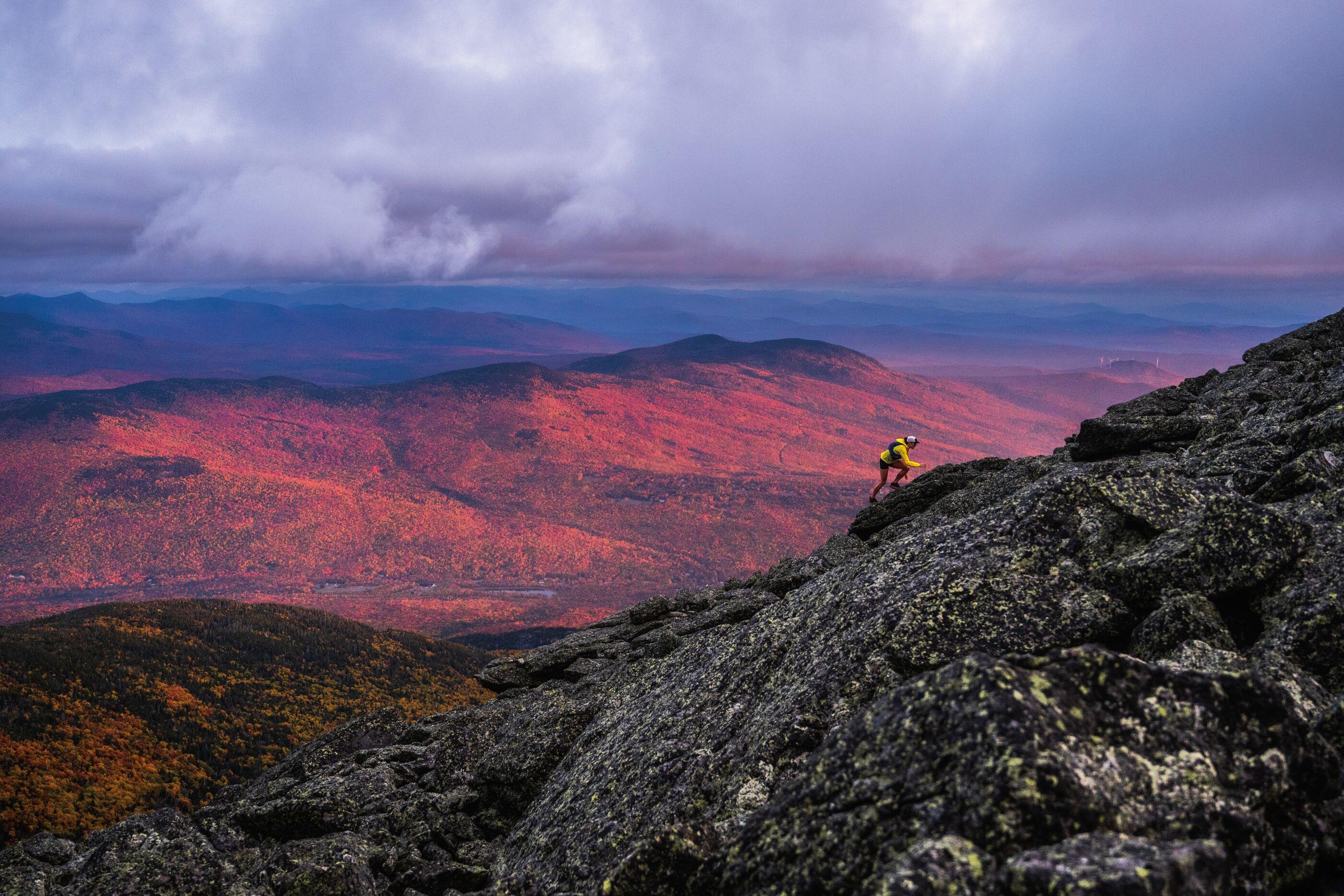 Patagonia image