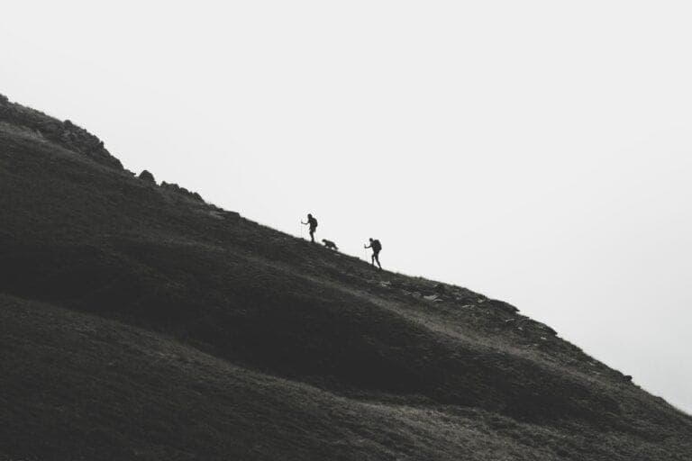 fabrizio-conti-xPFhK0MGsyw-unsplash-768x512.jpeg