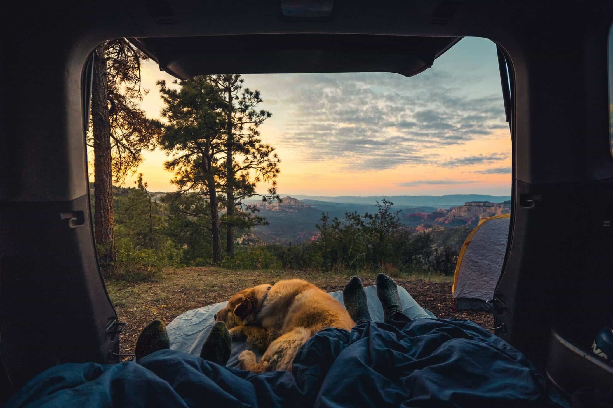 dogcamping2-scaled.jpeg