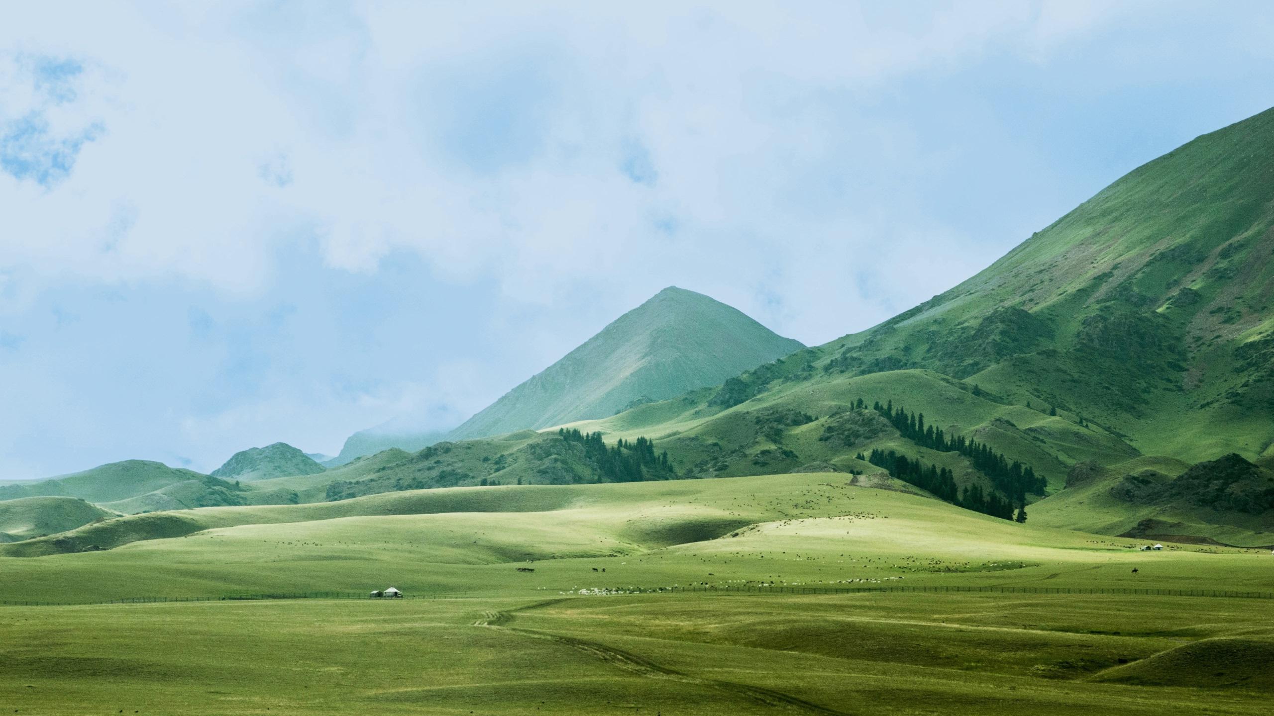 TLH_Image_herobanner_fullwidthbanner_sitewide_desk