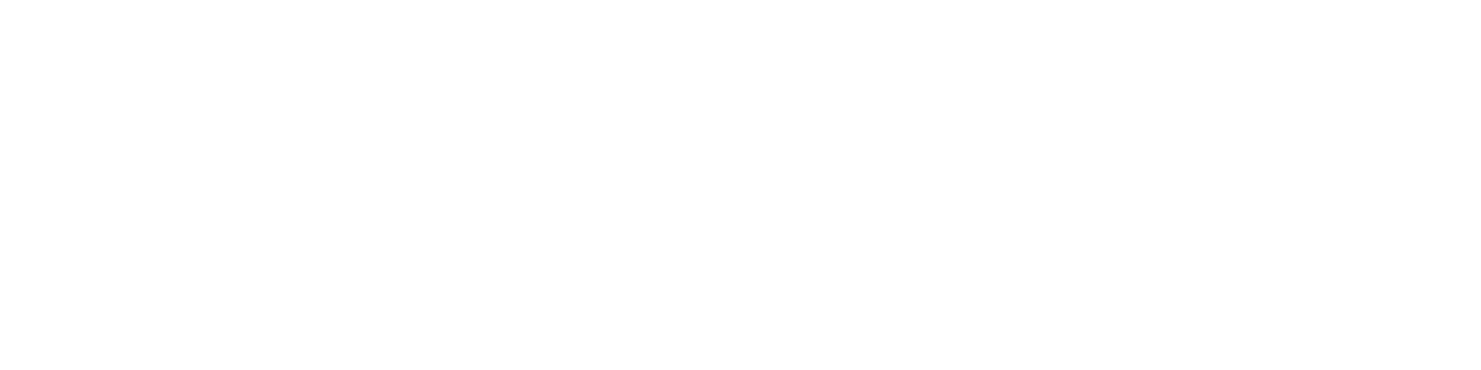 TLH_Logo_Communauto_White