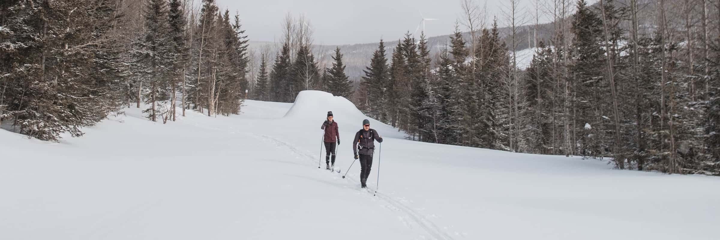 Best Spots to Cross Country Ski Near Montreal