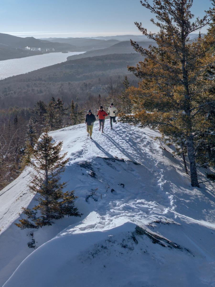 ALS_Image_BLP_HeroBanner_Ciele_Mobile