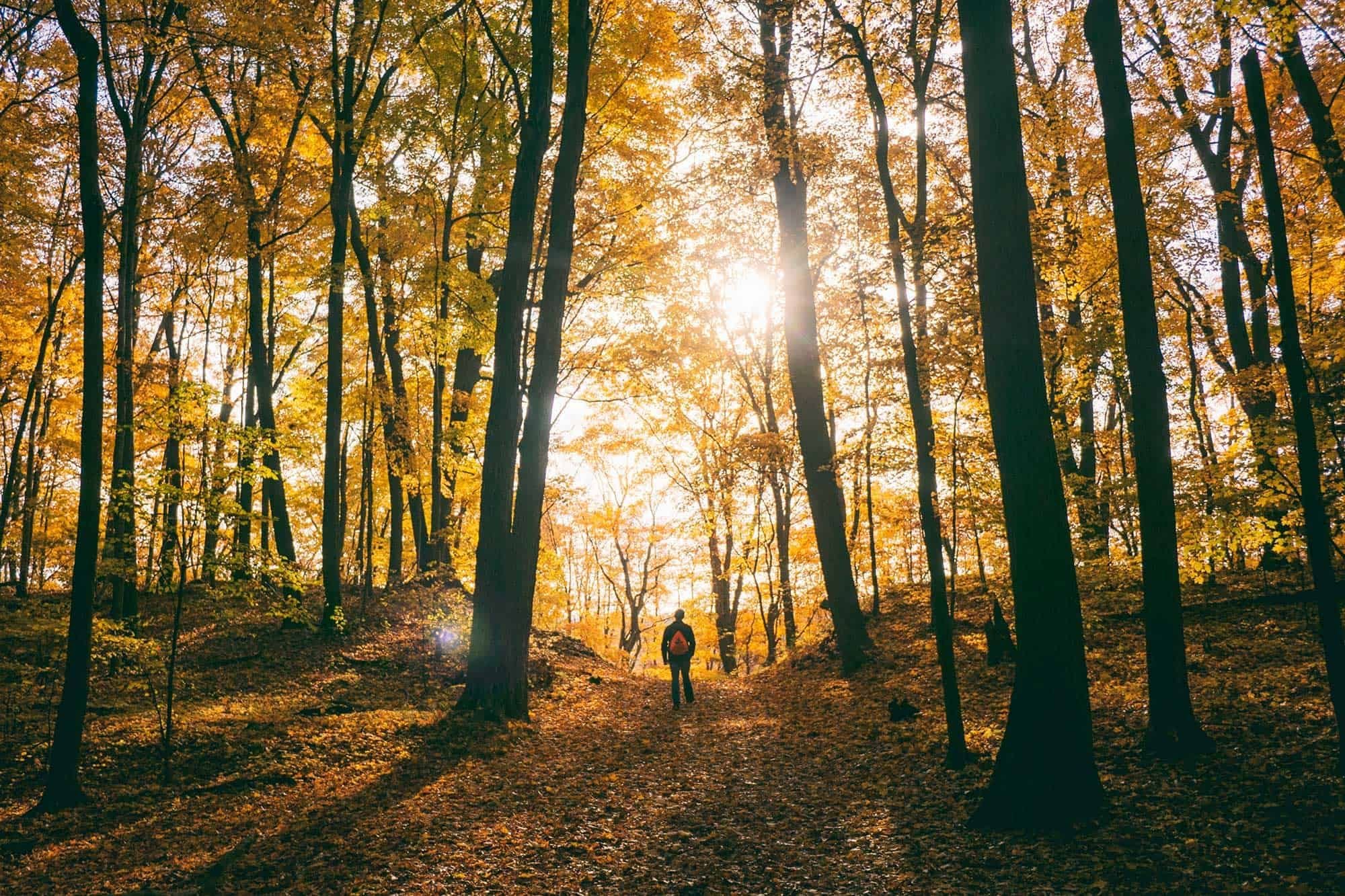 Altitude_Sports_Blog_Fall_hiking_2-1.jpg