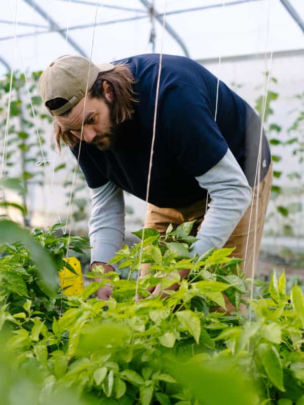 ALS_Image_MenuBanner_Men