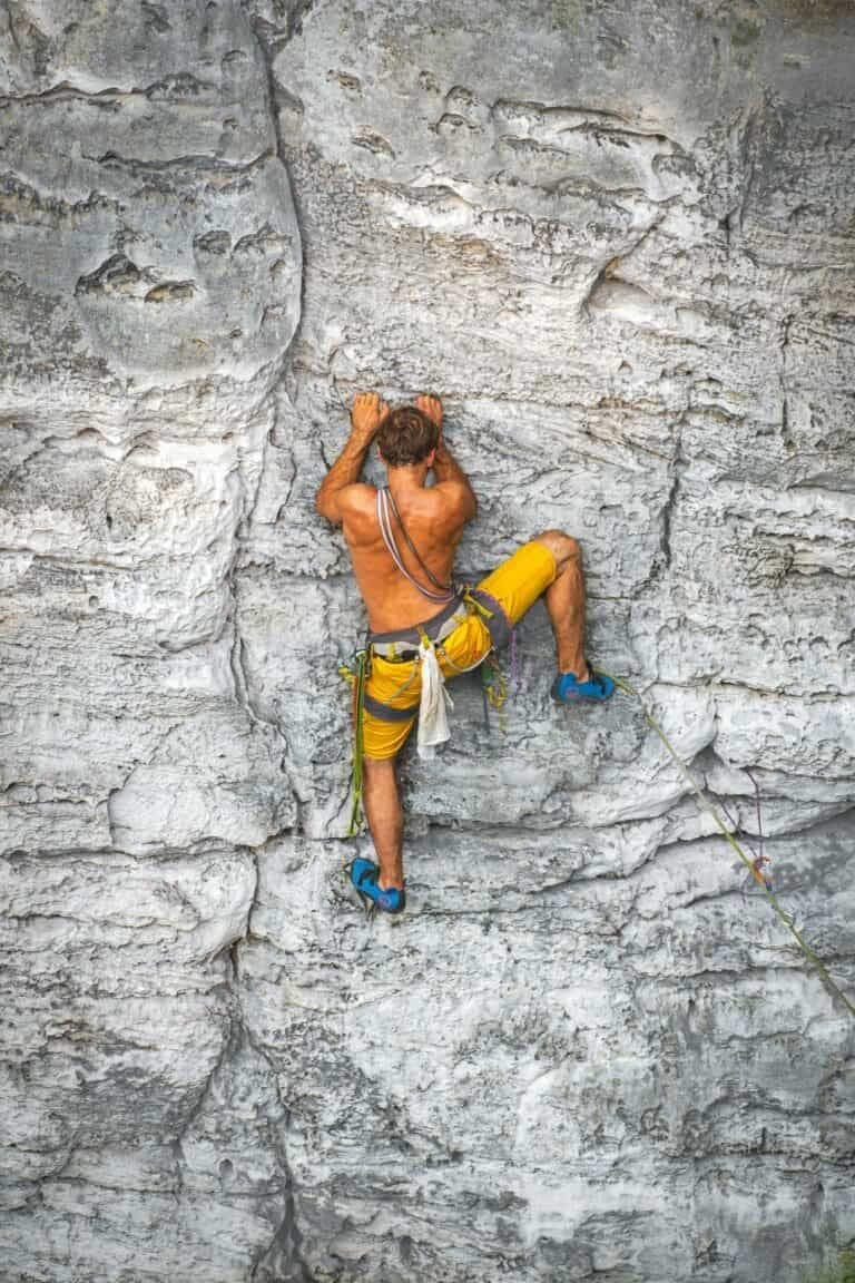 climbing1-768x1152.jpeg