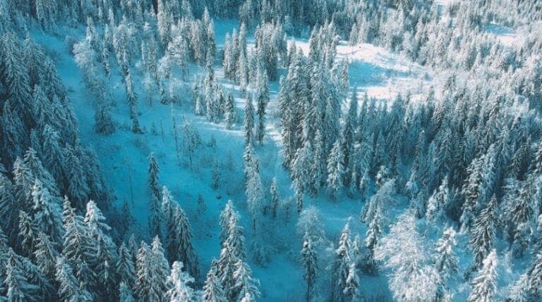 ski-touring-guide04-1-768x429.jpg